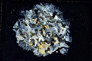 Cross Polarized, S7671