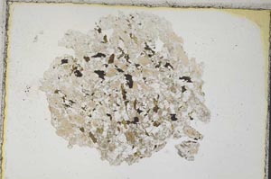 Plane Polarized, S7671