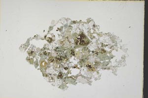 Plane Polarized, S7672