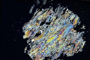 Cross Polarized, S7677