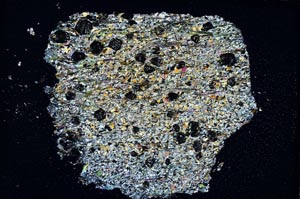 Cross Polarized, S7678