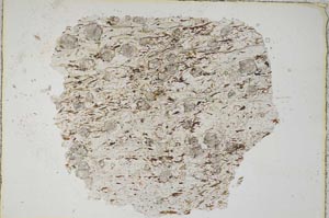 Plane Polarized, S7678