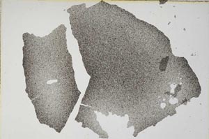 Plane Polarized, S7713