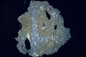 Cross Polarized, S7716