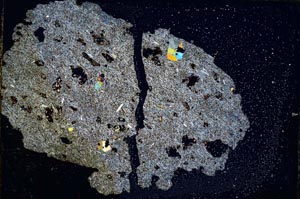 Cross Polarized, S7751