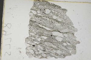 Plane Polarized, S7768