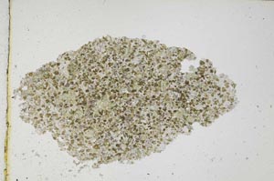 Plane Polarized, S7770