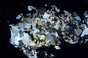 Cross Polarized, S7771