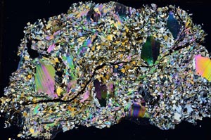 Cross Polarized, S7776