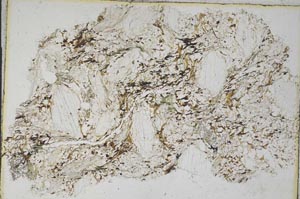 Plane Polarized, S7776