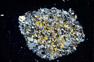 Cross Polarized, S7777