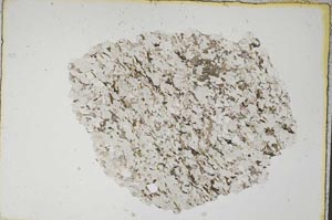 Plane Polarized, S7777