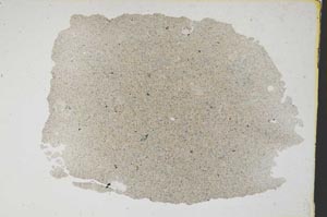 Plane Polarized, S7778