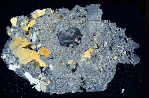 Cross Polarized, S7781