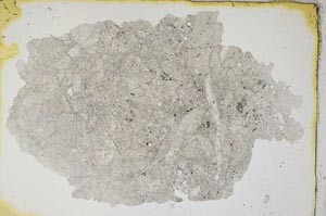 Plane Polarized, S7781