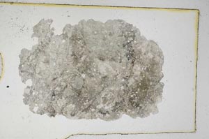 Plane Polarized, S7807