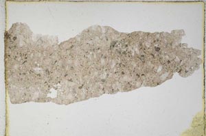 Plane Polarized, S7811