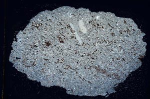 Cross Polarized, S7812