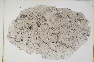 Plane Polarized, S7812