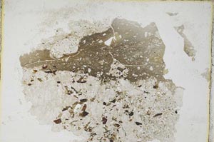 Plane Polarized, S7824
