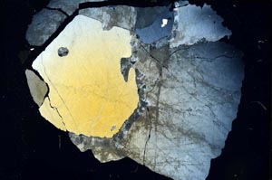 Cross Polarized, S7848