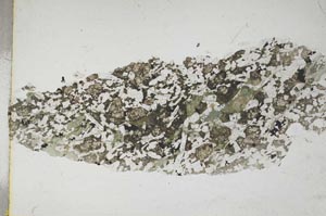 Plane Polarized, S7850