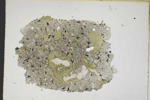 Plane Polarized, S7851