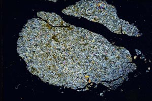 Cross Polarized, S7853