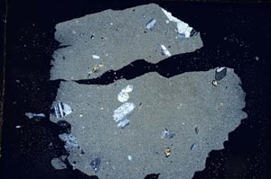 Cross Polarized, S7860