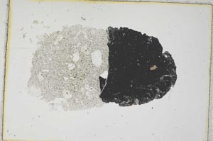 Plane Polarized, S7863