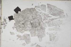 Plane Polarized, S7921