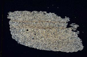 Cross Polarized, S7959/A