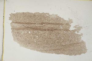 Plane Polarized, S7959/A