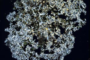 Cross Polarized, S7963