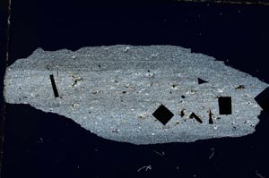 Cross Polarized, S7964