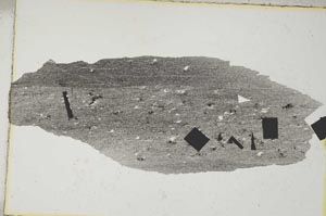 Plane Polarized, S7964