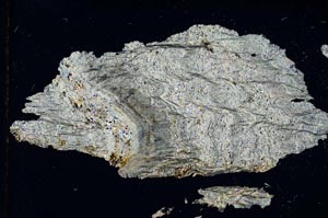 Cross Polarized, S7965