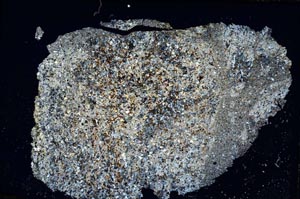 Cross Polarized, S8009