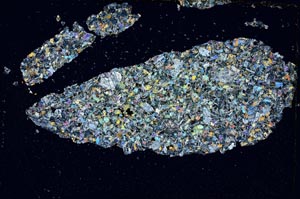 Cross Polarized, S8045