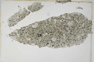 Plane Polarized, S8045