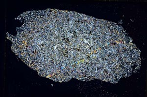 Cross Polarized, S8054