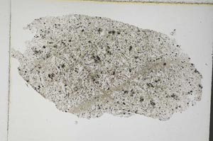 Plane Polarized, S8054