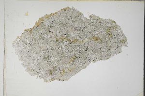 Plane Polarized, S8056