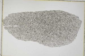 Plane Polarized, S8058