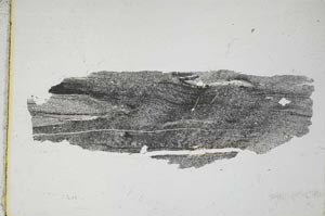 Plane Polarized, S8095