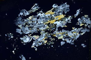 Cross Polarized, S8125