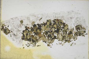 Plane Polarized, S8135