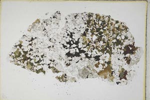 Plane Polarized, S8139