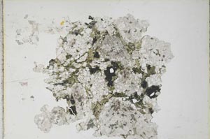 Plane Polarized, S8152