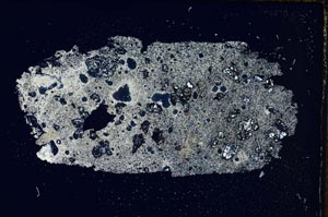 Cross Polarized, S8186